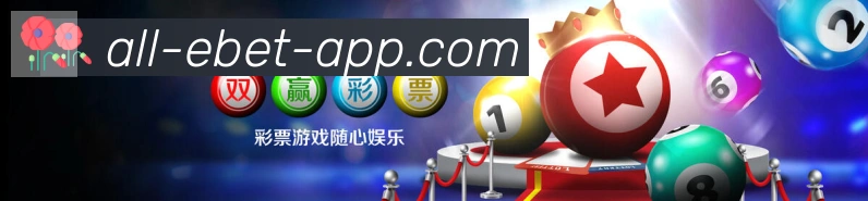 未来规划